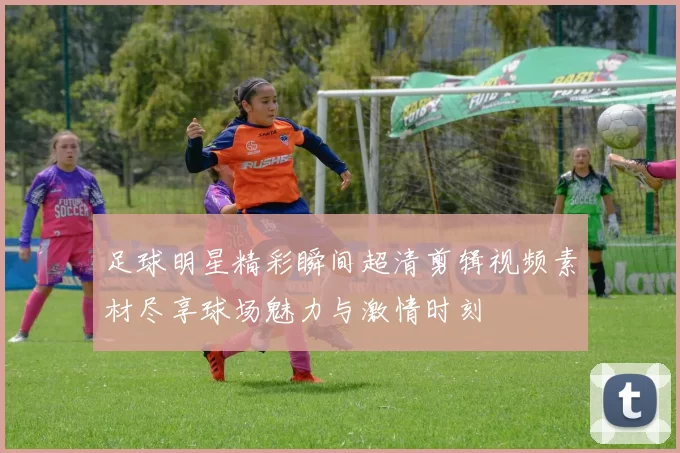 足球明星精彩瞬间超清剪辑视频素材尽享球场魅力与激情时刻