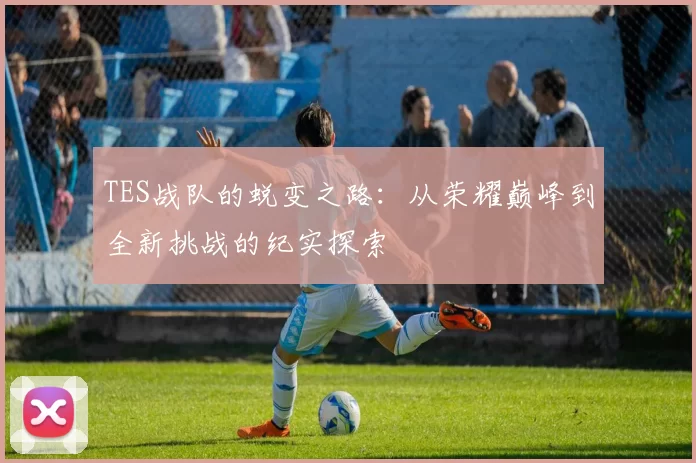 TES战队的蜕变之路：从荣耀巅峰到全新挑战的纪实探索