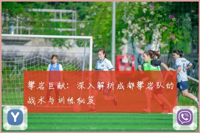攀岩巨献：深入解析成都攀岩队的战术与训练秘笈