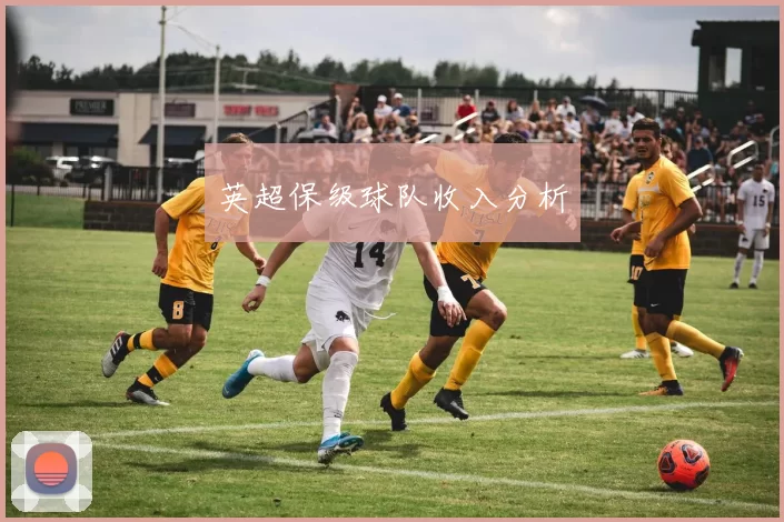 英超保级球队收入分析