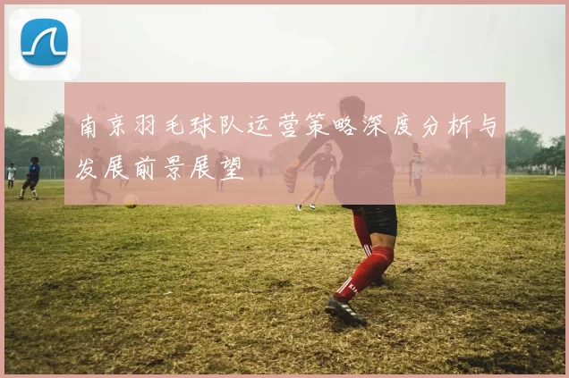 南京羽毛球队运营策略深度分析与发展前景展望