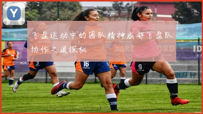 飞盘运动中的团队精神成都飞盘队协作之道探秘